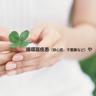 循環器疾患（狭心症、不整脈など）や